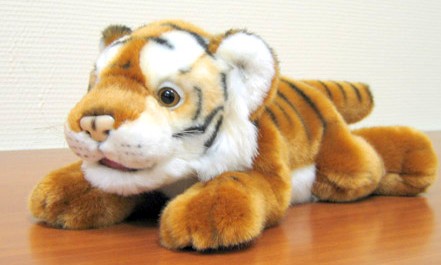 Тигр лежащий