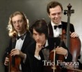 струнное трио Finezza